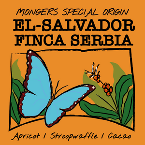 EL SALVADOR - FINCA SERIBA - SANTA ANA